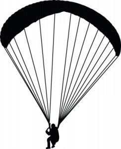 what color is your parachute